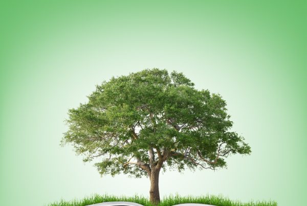 Appletree financial blackpool