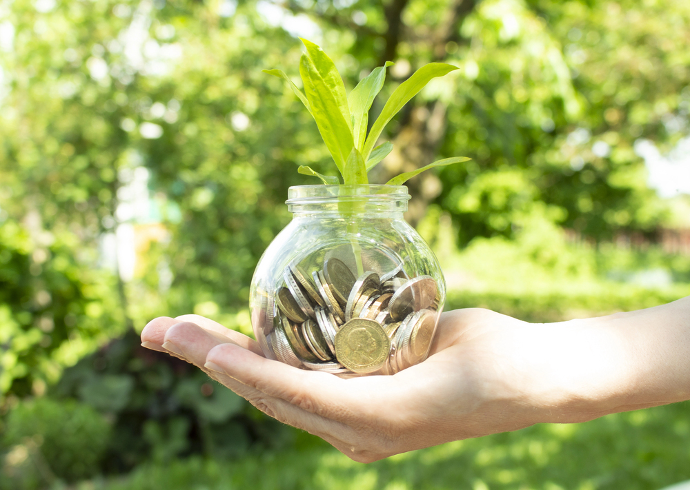 Are you protecting your pension contributions?