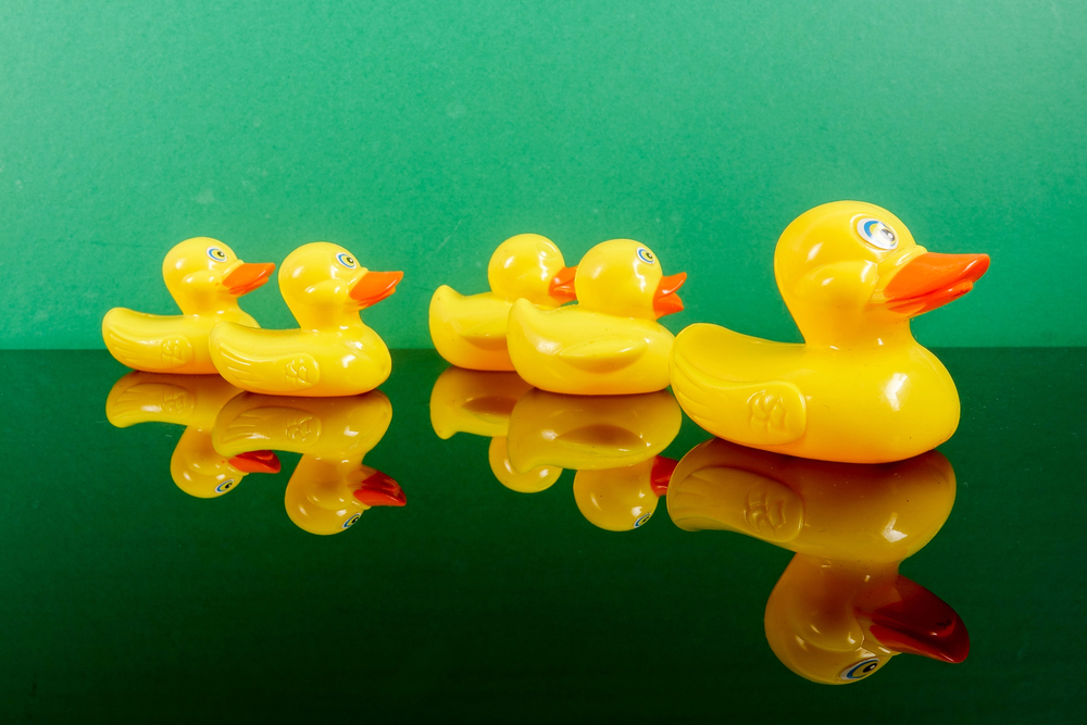 Get Your Ducks in a Row Before the End of the Tax Year