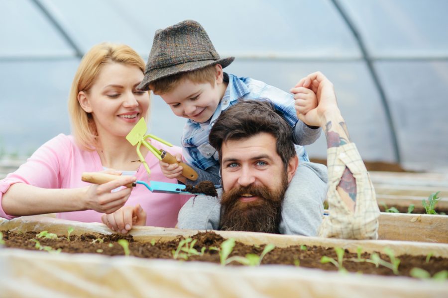 Appletree Financial Advice Blackpool